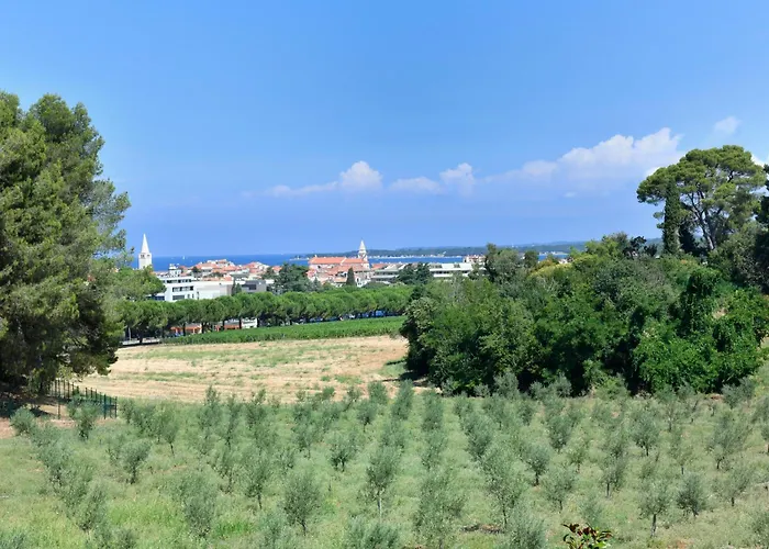 Calmaria *